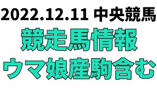 【阪神JF】中央競馬情報 2022年12月11日【ウマ娘産駒】