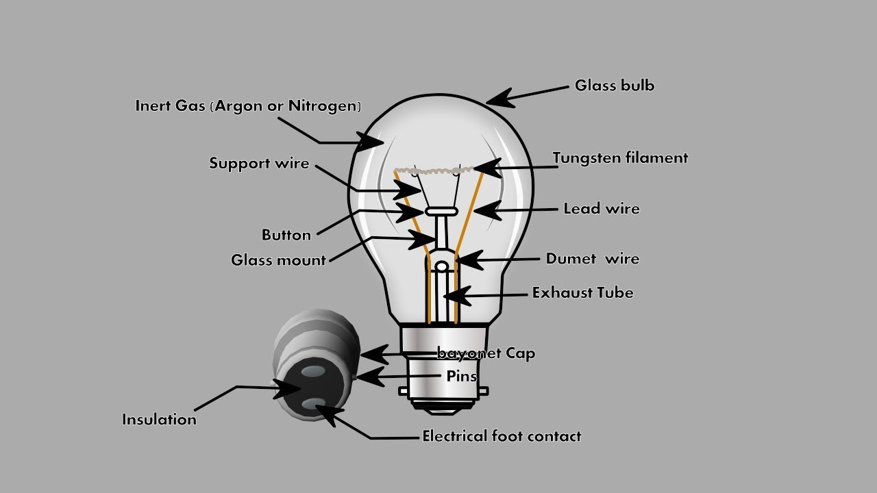How Does The Light Bulb Work Ffoprio