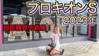 【3連複20.8倍的中！】2023年プロキオンステークスの予想【星野るり】