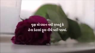 Good Morning  - શુભ સવાર - Whatsapp gujarati Video Status