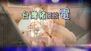 02/03 民視異言堂_台灣豬要放電