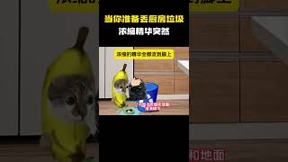 当你准备丢厨房垃圾，浓缩精华突然……#猫meme #内容过于真实 #funny