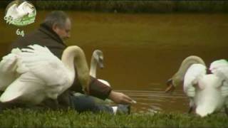 mijn vrienden de Zwanen-Jordi Georgina and Charley.