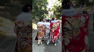 2023年1月『成人の日』 東京明治神宮。振り袖姿の新成人が美しい。 #成人の日 #japaneseculture #kimono #tokyo #成人式