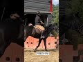 shorts 구보 승마 대마장 horse horseriding