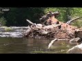 感動の世界遺産 137 アメリカ ヨセミテ国立公園Ⅱ エル・キャピタン yosemite national park