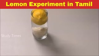 எலுமிச்சை ஏன் தண்ணீரில் மிதக்கிறது Why does lemon floats in water Tamil @StudyTimeTamil​