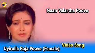 Uyirulla Roja Poove Female Video Song |Naan Valartha Poove Movie Songs |Gururajan | Roobini | TVNXT