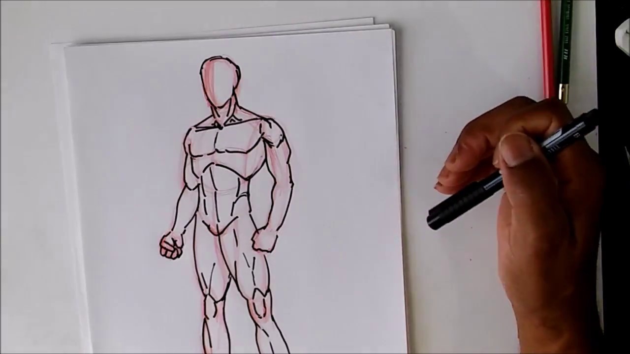 Male Body Drawing Tutorial