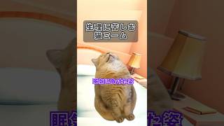 生理に苦しむ猫ミーム  #猫ミーム #猫マニ #あるある  #shorts 【個人VTuber/こころおるか】#short #Vtuber   #vtuber