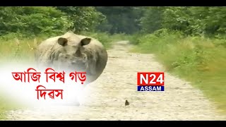 আজি বিশ্ব গঁড় দিৱস