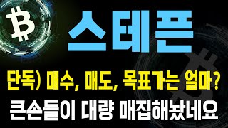 스테픈 코인 / 단독) 매수, 매도, 목표가는 얼마? 큰손들이 대량 매집해놨네요