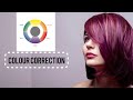 Hair Colour correction | cut colour | hair colour theory | by master deepak hair expert