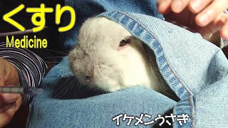 Did the rabbit overcome the medicine? ～ 1 week effort 【No.113】