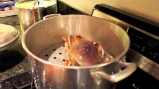 How to Steam a Crab