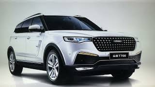 2017 Zotye T700