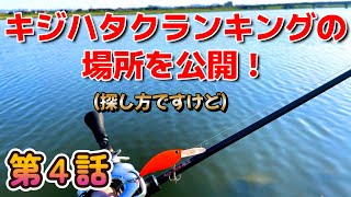 ゼロから始めるキジハタクランキング第4話【場所と条件と攻略法の関係性】これが分かればシャローは無双状態！？