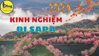 Du lịch Sapa dịp tết 2024: Kinh nghiệm lên lịch trình tham quan 3n2đ