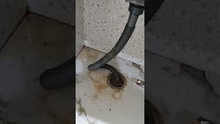 Kitchen drain blocked problem #kitchen #construction #shorts @civilsitevisit1