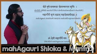 Devi MahaGauri Shloka, Mantra and Siddhi - Navaratri Day 8