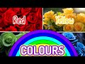 The colours song. Kids rhyme song. Preschool kids song.