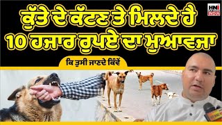 ਕੁੱਤੇ ਦੇ ਕੱਟਣ ਤੇ ਮਿਲਦੇ ਹੈ 10 ਹਜਾਰ ਰੁਪਏ ਦਾ ਮੁਆਵਜਾ  ਕਿ ਤੁਸੀ ਜਾਣਦੇ ਕਿੰਵੇਂ?