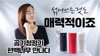 공기청정기 편백나무와 만났다! 작은데 미세먼지가 줄어드네? (VOVO IMUNSEN 휴대용, 차량용)