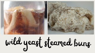 Making Steamed Buns with Wild Natural Yeast (not sourdough!)