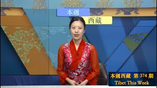 《本週西藏》第 374 期  2024 年 2 月 2 日 Tibet This Week: Chinese