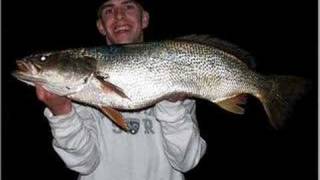 Tiderunner Weakfish of New Jersey