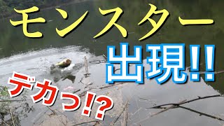 【バス釣り】心臓バクバク！手に汗握る死闘！モンスター捕獲までノーカット‼ / レボMGXシータ / アブガルシア / 夏 / 広島 / ZESTIEN