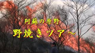 阿蘇の原野　野焼き見学