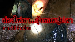 ออกส่องไฟหาปูหาปลา..หากินไปตามวิถีพื้นบ้าน | วิถีพื้นบ้าน Channel