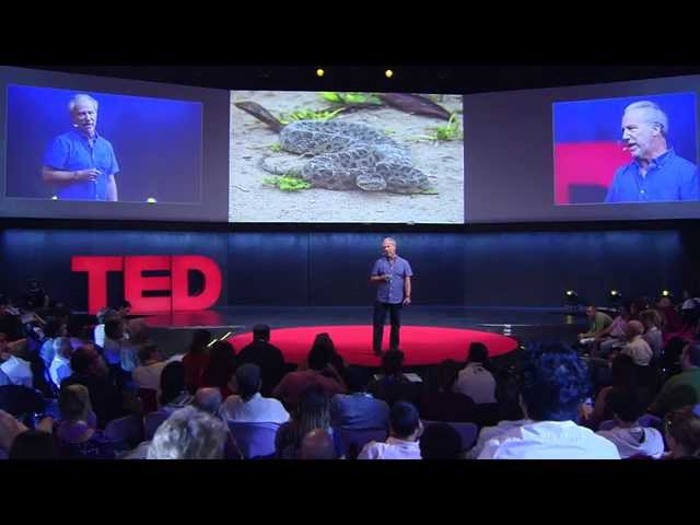 Amazon Echo Snl Ejoy English