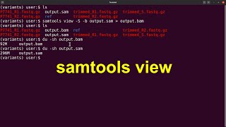 samtools tutorial - convert sam to bam | samtools view