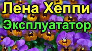 Лена Хеппи.Эксплуататор