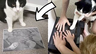 How We Persuaded the Cat to Make a Copy of His Paw Through a Printer