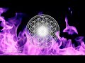 417Hz + 528Hz VIOLET FLAME • FLOWER OF LIFE • REMOVE NEGATIVE ENERGIES & BLOCKAGES • REIKI