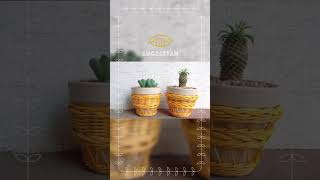 예쁜 라탄 화분 Pretty rattan pots #shorts