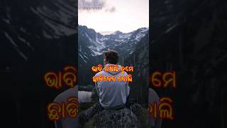 ଭାବି ନଥିଲି ଛାଡି ଦବ ବୋଲି // odia sad shayari // odia shayari status video