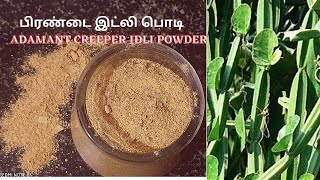 Pirandai Podi Recipe in tamil/How to make Pirandai  idli Podi /Idli Podi Recipe/Weight Loss Recipes