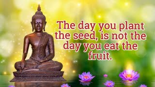Awesome Gautam Buddha Quotes On Love | Love Quotes | Buddha Quotes | Buddha | by Creative Thinking