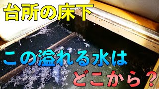 【高圧洗浄】まさかの事態！〇年分の水が床下に！【Drain Unblocking】【花のお掃除 #8】