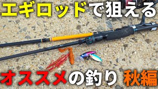 秋イカだけじゃ勿体ない！エギングロッドを使ってできる、秋にオススメの釣りはコレです！