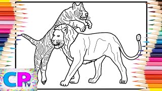Tiger vs Lion Coloring Pages/Wild Animals/Diviners - Savannah (feat. Philly K) [NCS Release]