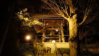 2021年 高根寺「除夜の鐘」ライブ配信