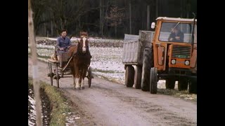 Bewegende Tiere auf bewegten Bildern – Arbeitstiere in der Zeit der Massenmotorisierung (1950-1980)