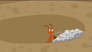 How do Ants live in their colony | cartoon animation | information explained by Ants in cartoon