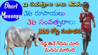 12 సంవత్సరాల బాబు జీవితం/36 రూపాయలు/36 సంవత్సరాలు/360 కోట్ల సంపాదన/గడ్డి తినే గేదెను చూసి మనసు మారి