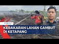 Api di Lahan Gambut Ketapang Sempat Padam kembali Menyala, Pernapasan Warga Mulai Terganggu